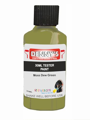 Premium Interior Wall & Furniture Chalk Paint – Moss Dew Green – Rich Matt Finish, Durable & Washable, Low Odour, Ideal for Living Rooms, Bedrooms & Hallways (30ML Tester Bottle)