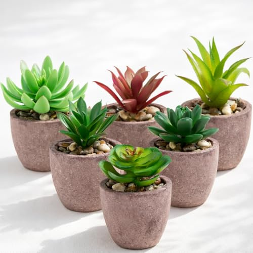 PASCH® 6er Set künstliche Sukkulenten wie echt in Naturfaser-Töpfen: Sukkulenten künstlich | Künstliche Pflanzen | Pflanzen Deko Wohnzimmer | Bad Deko Pflanzen künstlich | Kunstpflanze klein