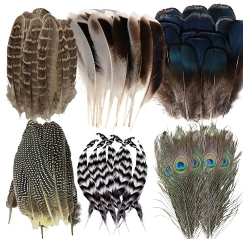 LUMOOM 48 Stück Natürliche Bastelfedern Dekorationen, Federn zum Basteln, Truthahnhut Deko Federn, Pfauenfedern, für DIY Traumfänger, Ohrringe, Faschingskostüme, Hochzeitsfeier, Party-Masken