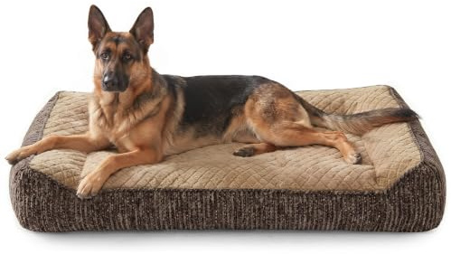 JOEJOY ortopedisk hundsäng, stora hundar, ergonomisk hundsäng, tvättbar, avtagbar, hundsoffa, halkfri med upphöjda kanter, hundkorg, mjuk snöflingor-fleece, 122 x 89 x 25 cm