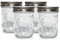 Fairment Original Jar inkl. rostfreiem Edelstahldeckel - Fermentationsglas 4er Set - 16oz (473ml) - Einmachglas vielseitige Verwendungen - Mikrobendesign