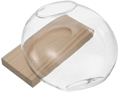 SHINEOFI Vase Hydroponique Décoratif en Verre Transparent avec Support en Bois Naturel, Jardinière Hydroponique Minimaliste pour Culture sans Terre, Pot à Eau pour Plantes D’intérieur,