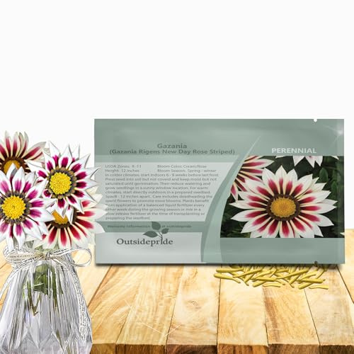 Outsidepride New Day Rose Striped Gazania Seeds for Planting – 50 Pcs Perennial, Low-Maintenance, Drought-Tolerant Ground Cover Seeds for Vibrant Summer & Fall Flowers, Great for Outdoor Gardens