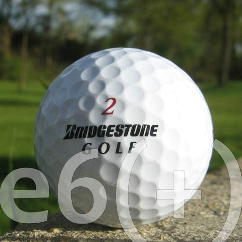 Bridgestone 50 E6 LAKEBALLS/GOLFBÄLLE - QUALITÄT AAA/AA - IM NETZBEUTEL