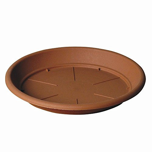 Herstera Unters. Rotondo 40 Terra für 45Er Cilindro