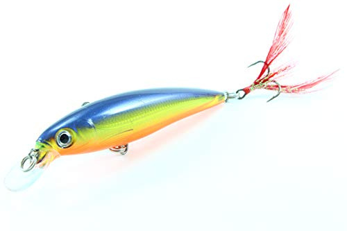 Rapala Wobbler X de Rap Dulce TR Brown Trout, XR10HS, HS - Hot Steel, 10 cm