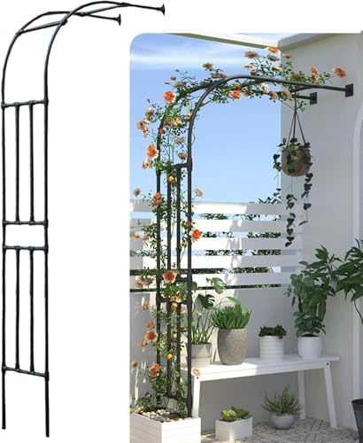 Arche de jardin pour plantes grimpantes, structure en acier robuste, demi-arc, décoration extérieure, 40 x 60 x 240 cm, structure de jardin, parfaite pour fleurs et vignes.