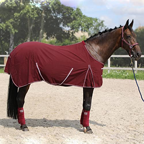 York Stalldecke Transportdecke Baumwolle Torrone Outdoordecke weinrot (155 cm)