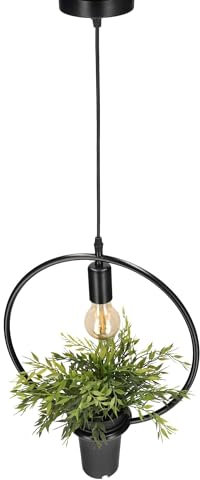 EDO Luminaire Plafonnier LED Suspension Lampe décorative suspendue avec pot et fleur MEA Suspension ronde, éclairage de plafond, pot de plantes, designer naturel IP20, E27, EDO777544