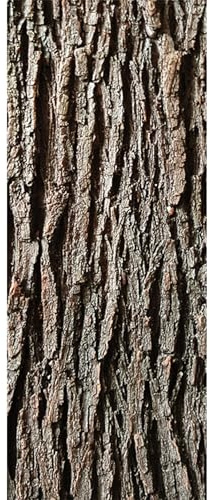 Écorce d'arbre artificielle, fausse écorce réaliste pour piliers, tuyaux, murs et planchers, simulation coupée pour les colonnes et décoration d'arbres, 1 * 0,4 m