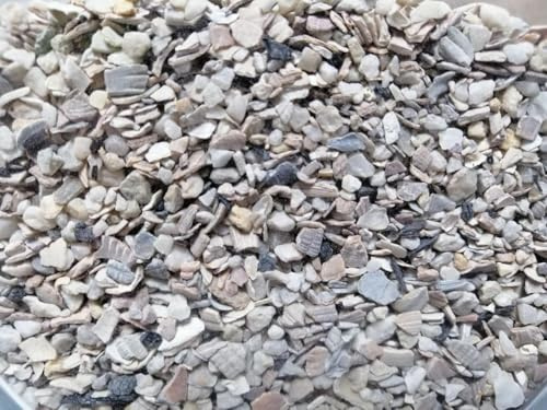 Dihl 1KG Mixed Pigeon Grit. Seashells, Flint and Charcoal. Graded 2-5mm. Aids Digestion, Boosts Hen Egg Shell Quality, Enhances Well-Being. High Calcium. 1 KG