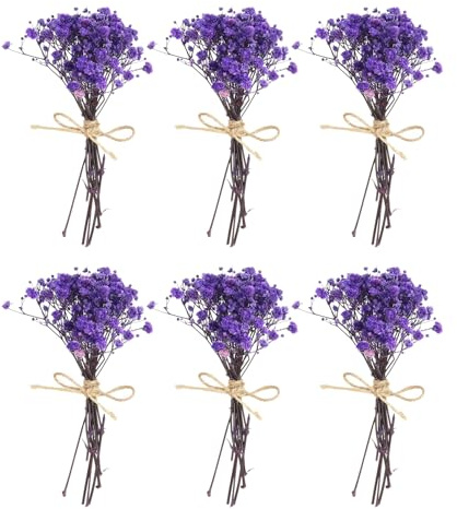 PATIKIL Minibukett torkade blommor, 6 st naturlig Gypsophila med stjälk blommig dekoration boho växt blomma för fritid gör-det-själv fototillbehör bröllopsgåva, blå lila