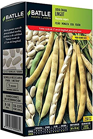 Batlle grönsaksfrön – stångböna lingot torra bönor (250 g)