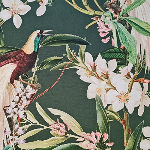 Stoff Meterware Baumwolle Satin grün Paradiesvogel Dschungel Vogel Dekostoff Baumwollsatin Blüten Blätter Vorhangstoff