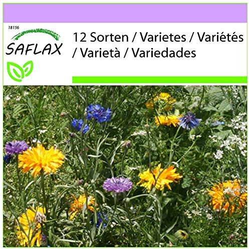 SAFLAX - Fleurs comestibles - 1000 graines - 12 Sorten