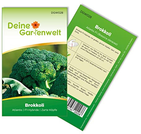 Brokkoli Ramoso Calabrese Samen - Brassica oleracea - Brokkolisamen - Gemüsesamen - Saatgut für 30 Pflanzen