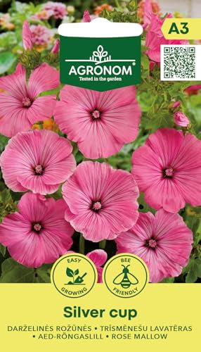 AGRONOM | Graines de mauve rose - SILVER CUP | Graines de fleurs | Graines de plantes | Plante annuelle à floraison abondante et longue avec de grandes fleurs | Graines de jardin | 1 paquet