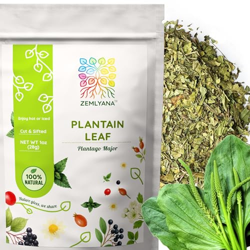 Dried Plantain Leaf Herb for Tea - Plantago Major Leaves - Hojas de Llanten Hierba - Cut & Sifted Natural Broadleaf Plantain Herbs, 1oz