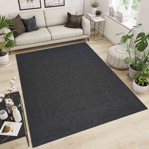 Simple Low Pile Rugs Living Room – Modern Tufted Area Rugs for Living Room with Felt Backing Dark Grey 60x110 cm