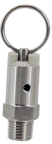 DimyFew Soupape de Décharge de Pression pour Fût de Bière - Raccords DIY Robustes et Faciles à Installer - Pièces de Rechange Professionnelles, 100 Psi