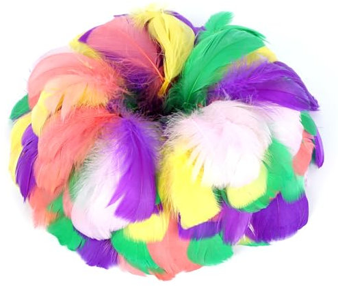 Aubess 500 Stück Federn zum Basteln, 25 Farben Federn in Verschiedenen Größen, Bastelfedern für DIY-Ohrringe, Hochzeiten, Traumfänger,Kopfschmuck, Federbälle, Schulbasteleien