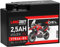 LANGZEIT YTR4A-BS GEL Roller Batterie 12V 2,5Ah 65A/EN GEL Batterie 12V Motorradbatterie doppelte Lebensdauer entspricht ITX4A-BS YTX4A-BS vorgeladen auslaufsicher wartungsfrei ersetzt 2,3Ah