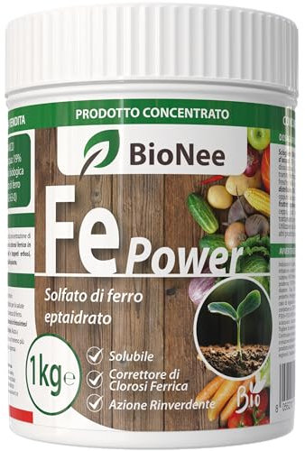 Solfato di Ferro Eptaidrato 1kg – Concime Inorganico 19% Ferro Solubile in Acqua – Rinverdente per Clorosi Ferrica – Uso in Agricoltura Biologica