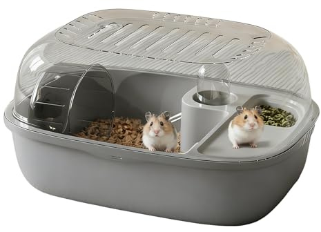 Gabbia Per Criceti - Casa Per Attività Trasparenti Per Piccoli Animali A 2 Livelli Con Ruota Per Esercizi | Habitat Per Piccoli Criceti A Doppio Strato Con, Habitat Per Animali Per Appartame