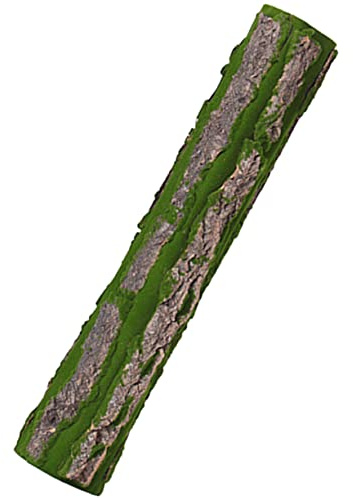 Toyvian Terrario Reptiles Fondo Natural De Corteza De Árbol para Reptiles Accesorio Seguro y Duradero para Decoración y Área De Escalada Terrarios