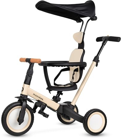 Dreirad ab 1 Jahr mit Schubstange 6in1 - Kinderdreirad mit Sonnendach - Dreirad mit Schiebestange - Fahrrad für Kinder bis 5 Jahre