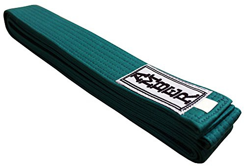 Amber Fight Gear Premium Karate Belt, 100% Cotton Canvas Martial Arts Belt for Karate, Taekwondo & Judo, Durable, Comfortable & Secure Fit, Ideal for Training & Competition, Green, Size 7-128 Inches