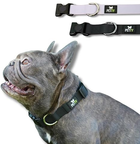 PettyItalia, Collare Cane Regolabile in Biothane, Impermeabile, con Anello D-Ring e Chiusura di Sicurezza, per Cani di Taglia Piccola, Media e Grande, Colore Nero, Taglia XS