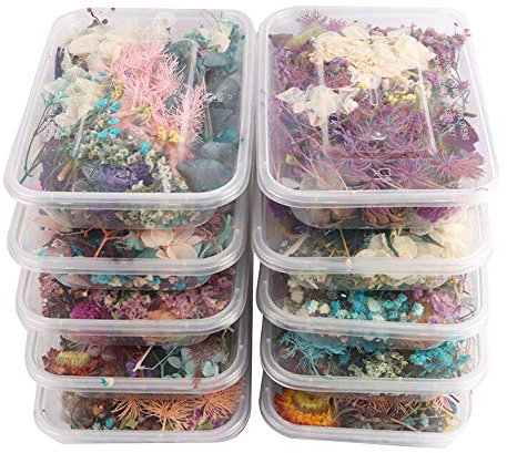 TITA-DONG Getrocknete Blumen-Trockenpflanzen, Getrocknete Blumen für Aromatherapie-Kerze, Echte Getrocknete Gepresste Blattblumen, Handgefertigte DIY-getrocknete Blumen für Harzschmuck, Anhänger,(#1)