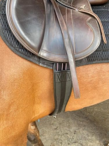 Preto Horse Sottopancia Sintetico per Selle Comfort Waffle Neoprene Equino Sottopancia Antisfregamento Elastico Contorno Terminale Nero Anatomico/Ergonomico PVC Salto Ammortizzante Sottopancia