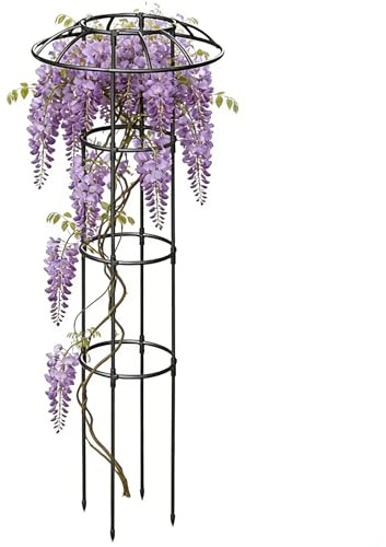 Växtspaljé utomhus | Dekorativ vertikal rostfri stabil klätterväxt stöd | utomhus blomtorn ram – för vinstockar ros grönsak drake frukt gurka hortensior jasmin pothos