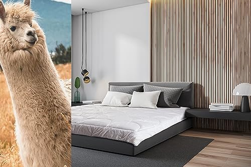 Merino Wool Luxury Alpaca Duvet Alpaca Wool Duvets – All Year/Seasons (54 x 80 (140 x 200 cm))