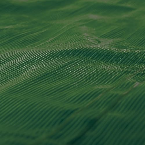 Impact and tear resistant tarp lldpe waterproof tarpaulin -premium Linear Low-Density Polyethylene in forest green (2m x 3m)