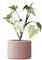 OSLO | Blumentopf aus BETON aus BETON | KEIN 3D DRUCK | KEIN 3D DRUCK | Übertopf | Pflanzenhalter | Blumenvase | verschiedene Farben | verschiedene Größen | EDITION ONE | LIATH® (S | 10cm, Coral)