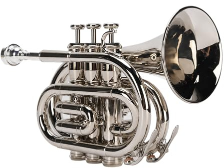 BB Trumpet, B Flat Mässing BB Pocket Trumpet med Munstycke, Bärfodral, Handskar och Rengöringsduk, för Nybörjare, Studenter, Resenärer och Proffs, Julfödelsedagspresent