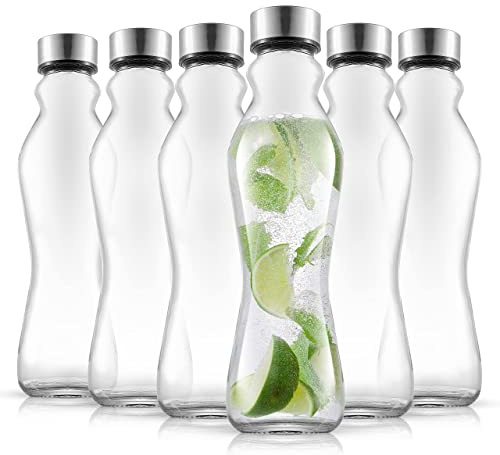 JoyJolt Spring Glass Water Bottles Set of 6-18 oz Glass Bottles with Stainless Steel Caps - Glass Drinking Bottles with Leakproof Lids - Reusable Glass Juice Bottle - Container Bottle Set