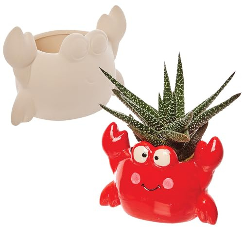 Baker Ross FX743 Krabben Keramik Blumentöpfe - 2er Pack, Keramikmalerei für Kinder, Blumentöpfe für Kinder