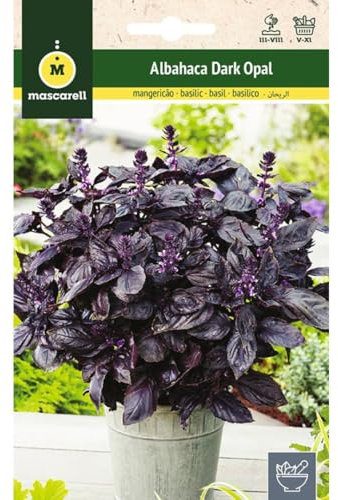 Mascarell Semillas, ALBAHACA DARK OPAL - PÚRPURA, Semillas de Hierbas Aromáticas para Plantar, Crea tu Propio Huerto en Casa, 1,5 Gramos