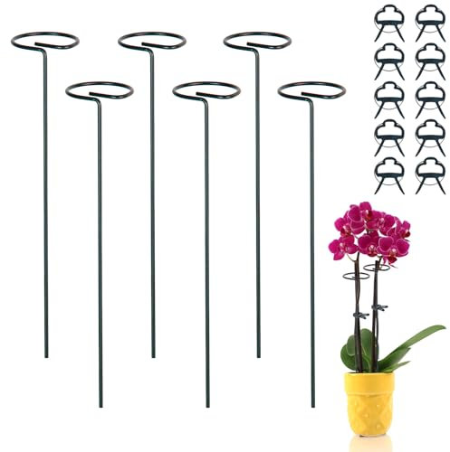 Metal Plant Support Stakes for Garden - 6 Pack 40cm Tall Plant Cage Support Rings with 10 pcs Plant Clips Single Stem Plant Support for Vegetable Tomatoes Peony Rose Flowers Stem Climbing