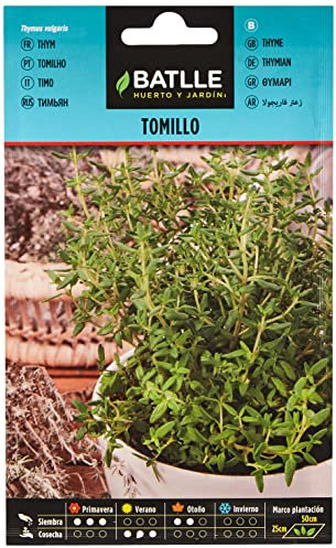 Graines aromatiques de Batlle - Thym (1g), lilas