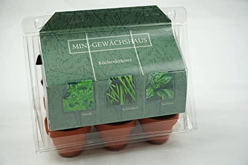 Cepewa Mini Gewächshaus Küchenkräuter Basilikum Petersilie Schnittlauch Fix & Fertig mit 6 Töpfen 3 Sorten Samen + Erde