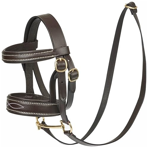LeMieux Briglia per pony, colore marrone, design reale, con punta in metallo e redini in pelle, giocattolo educativo, adatto per bambini dagli 8 anni in su