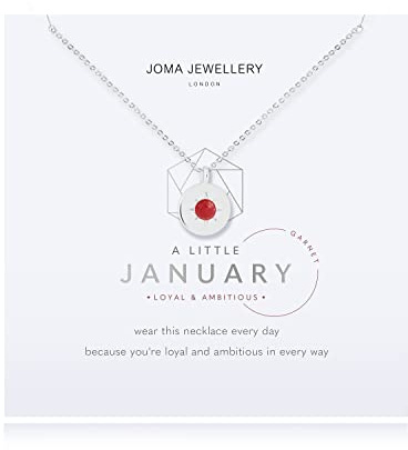 A Little Birthstone Birthday Gift For January Garnet Necklace