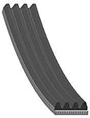 Febi Keilrippenriemen 4PK855 passend für 100 80 A4 A6 Cabriolet Coupe 3