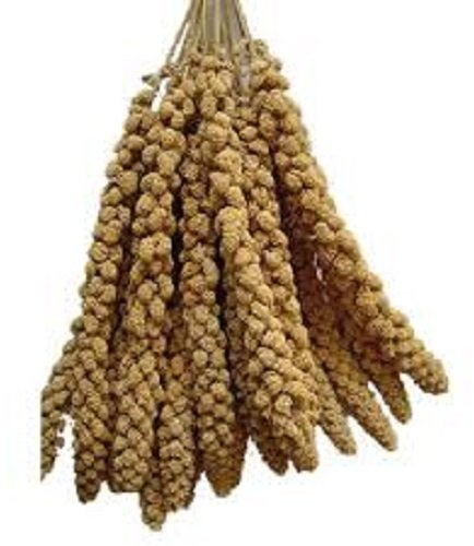 LEEWAY WOODWORK MILLET SPRAYS PACK OF 6 SPRAYS - BUDGIES - FINCHES - CANARIES - COCKATIEL - FOOD