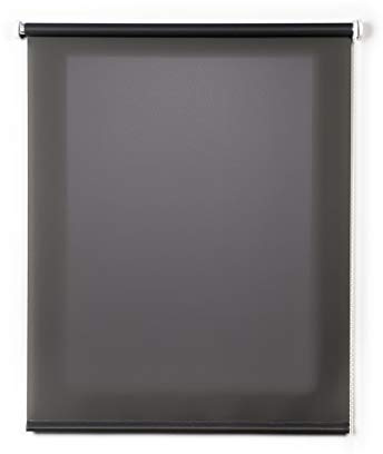 Estores Enrollables Translucidos para Ventanas y Puertas Estor Enrollable Traslucido Liso Cortinas translucidas para Salon Dormitorio Cocina Oficina ¡hasta 200cm de Ancho! Gris clásico 100 x 250 cm